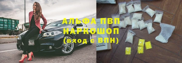 гашик Алексеевка