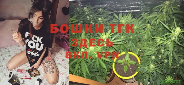 гашик Алексеевка