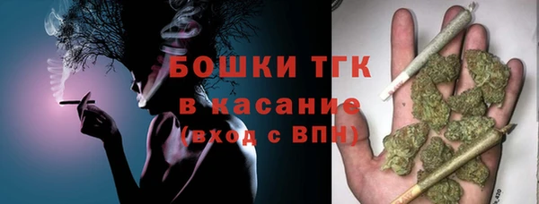 прущие грибы Алексин