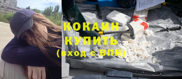 ПСИЛОЦИБИНОВЫЕ ГРИБЫ Арсеньев