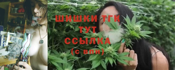 прущие грибы Алексин