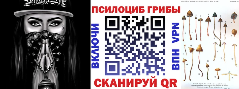 Псилоцибиновые грибы Cubensis  где купить наркоту  Строитель 